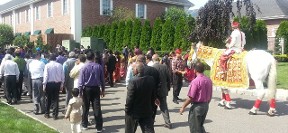 Baraat Horse Parade - Baraat Horse